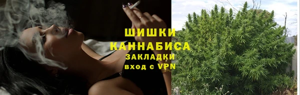бошки Елизово