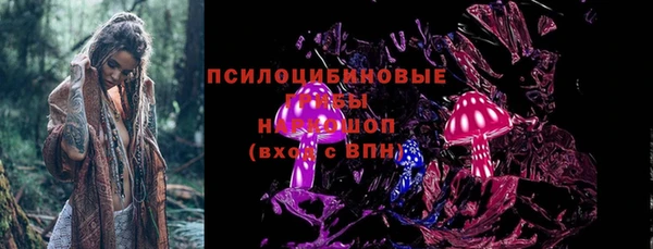 бошки Елизово